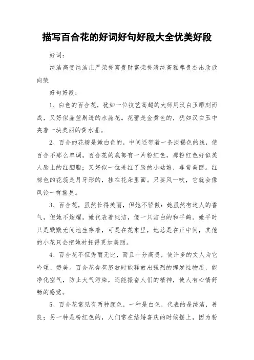 描写百合花的好词好句好段大全优美好段_作文