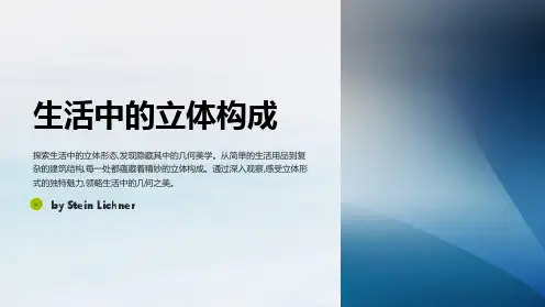 生活中的立体构成(林静文)