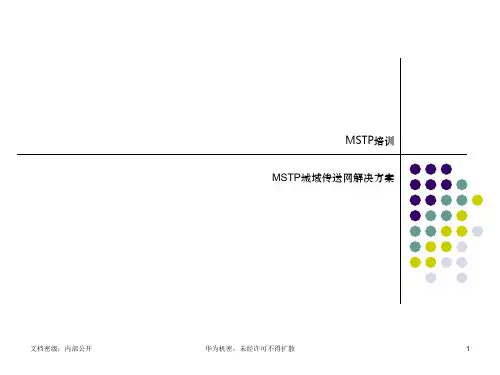 TA MetroMSTP城域传送网解决方案