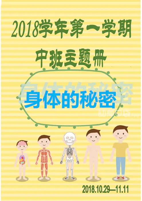 幼儿园中班主题教学：身体的秘密主题册