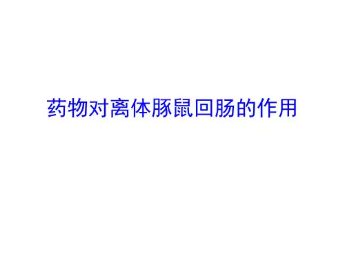 药物对离体豚鼠回肠的作用