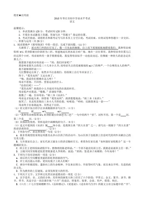 山东枣庄2018年中考语文试卷(有答案)