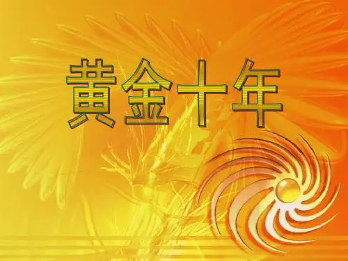 保险业黄金十年