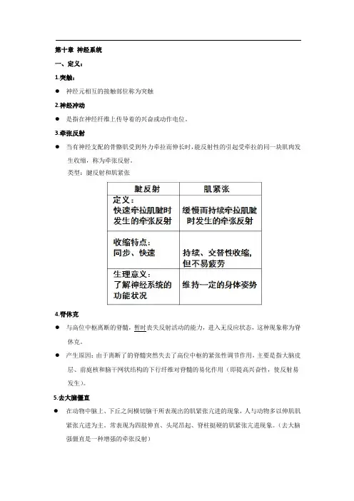 第十章 神经系统(药学方向)