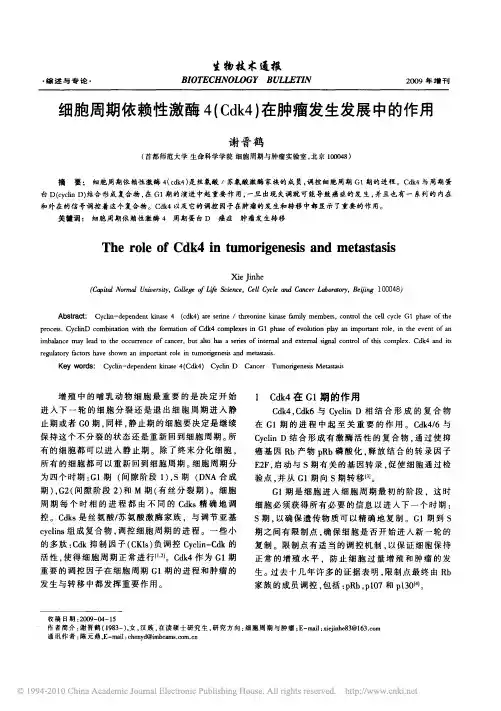 细胞周期依赖性激酶4_Cdk4_在肿瘤发生发展中的作用