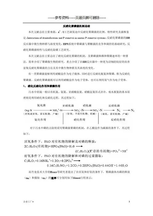 反硝化聚磷菌机制总结(精制甲类)