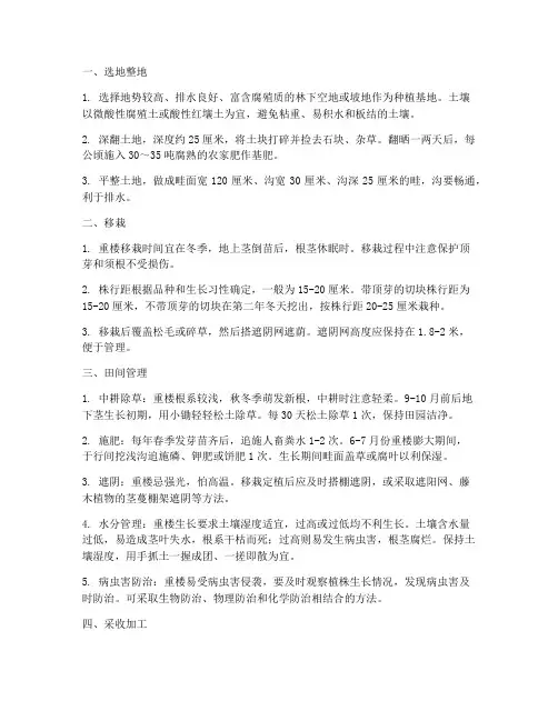 重楼种植田间管理技术