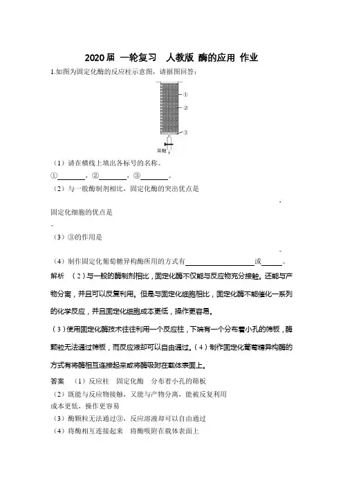 2020年高考 一轮复习  人教版 酶的应用 作业.doc