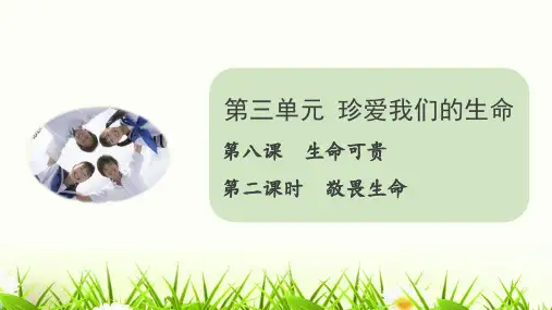 8.2 敬畏生命课件(共18张PPT)
