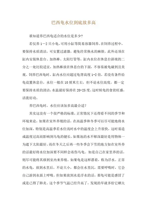 巴西龟水位到底放多高