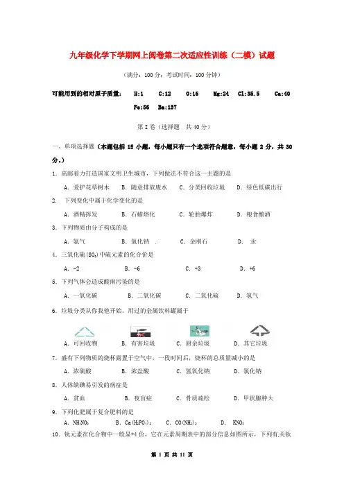 九年级化学下学期网上阅卷第二次适应性训练(二模)试题(有答案)