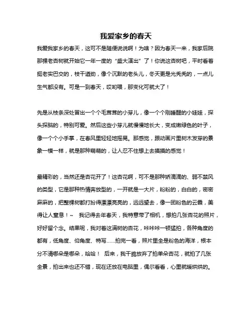 作文《我爱家乡的春天》