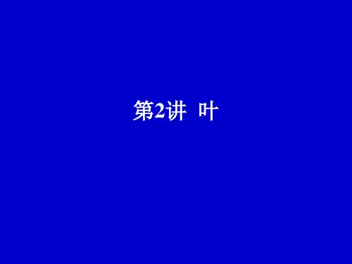 常见植物识别PPT课件：第二讲 叶与叶的形态术语