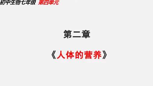 初一七下生物 第四单元 第二章人体的营养课件