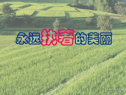 七年级语文下：第17课《永远执著的美丽》课件(沪教五四制)