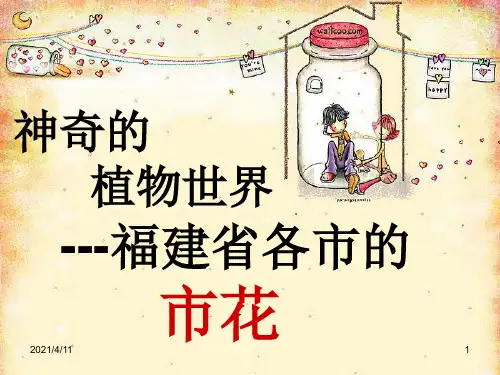 神奇的植物世界福建省的市花
