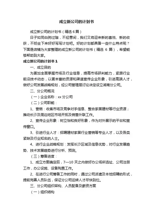 成立新公司的计划书