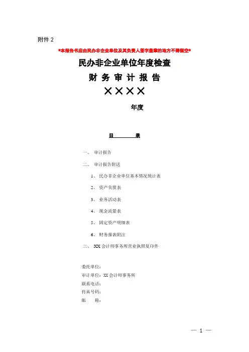 民办非单位年检财务审计报告模板
