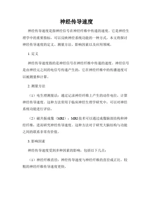 神经传导速度