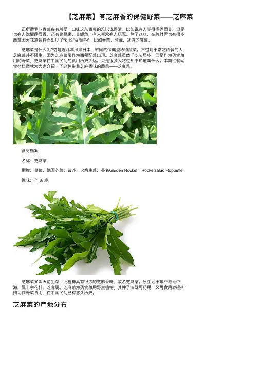 【芝麻菜】有芝麻香的保健野菜——芝麻菜