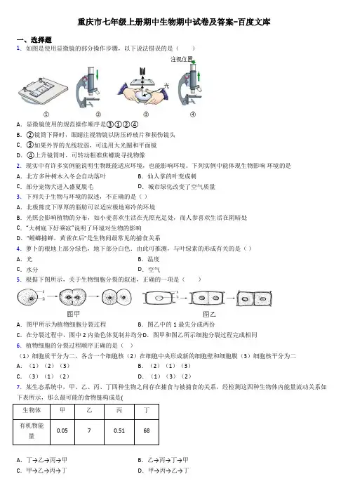 重庆市七年级上册期中生物期中试卷及答案-百度文库