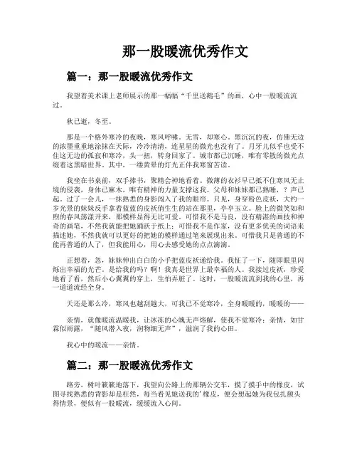 那一股暖流优秀作文
