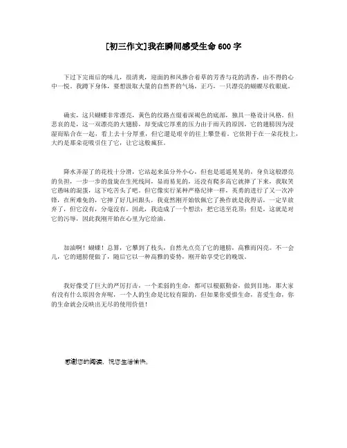 [初三作文]我在瞬间感受生命600字 2