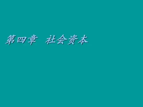 经济社会学第四章 社会资本