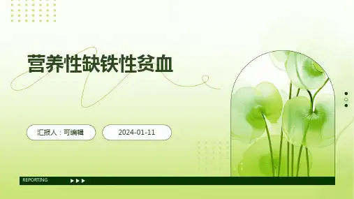 营养性缺铁性贫血ppt