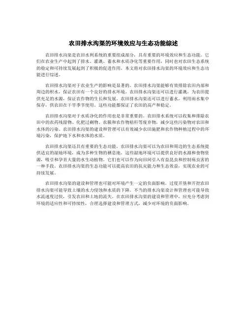 农田排水沟渠的环境效应与生态功能综述