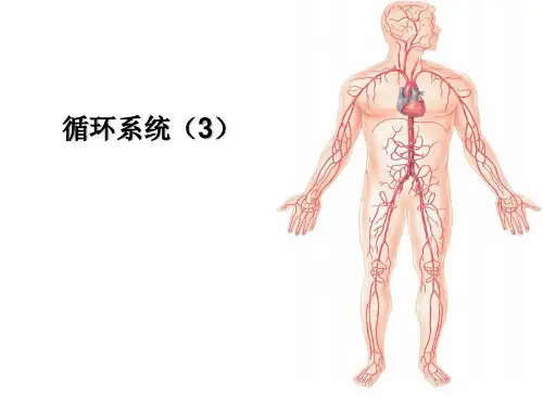 【人体解剖生理学】 第五章 循环系统PPT课件