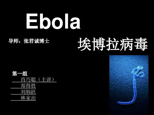 埃博拉病毒