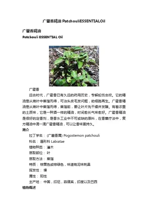 广藿香精油PatchouliESSENTIALOil