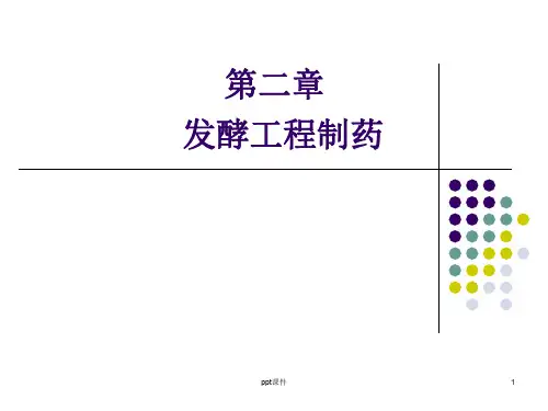 生物技术制药   第二章 发酵工程  ppt课件