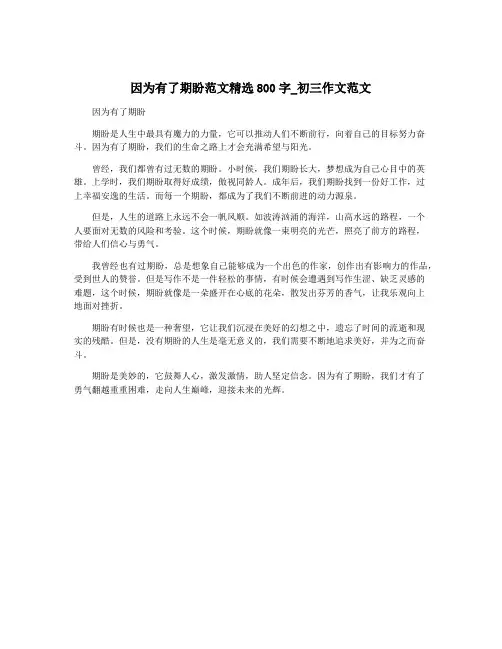 因为有了期盼范文精选800字_初三作文范文