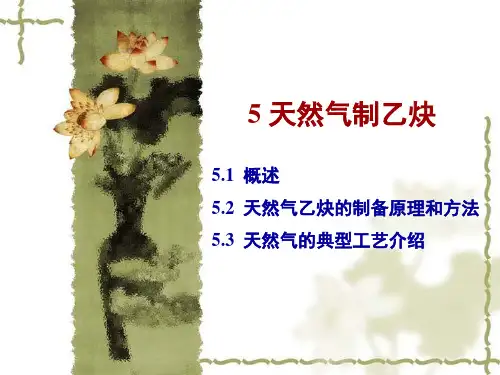 天然气化工工艺学(魏顺安)第05章 天然气制乙炔