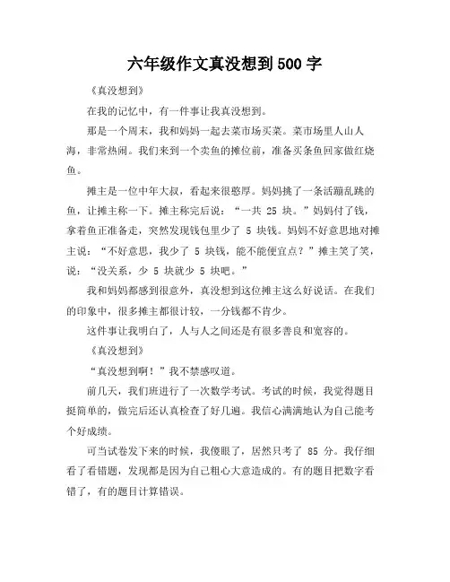 六年级作文真没想到500字