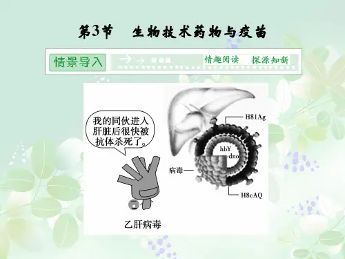 生物技术药物与疫苗PPT精品课件