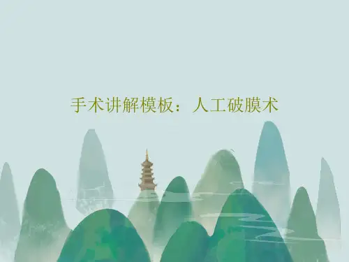 手术讲解模板：人工破膜术53页PPT