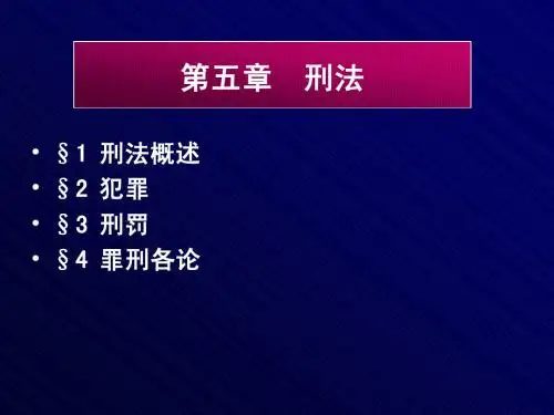第五章  刑法(无案例)