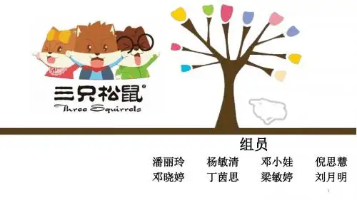 三只松鼠项目报告(完整版)PPT课件