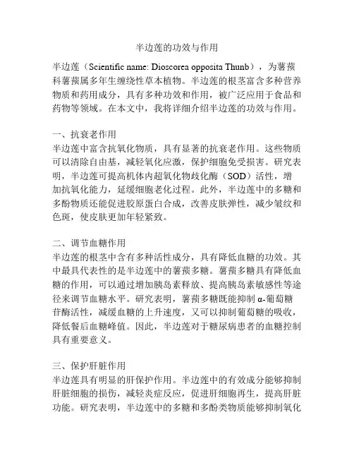 半边莲的功效与作用