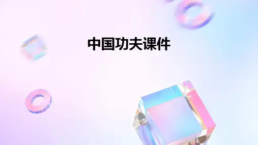 中国功夫ppt课件