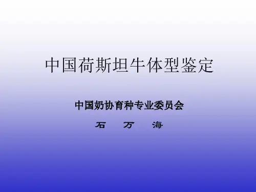 荷斯坦奶牛体型线性鉴定形状评分标准