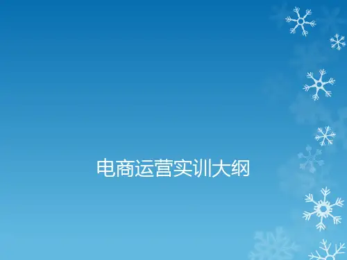电商运营实训课件PPT课件(PPT48页)