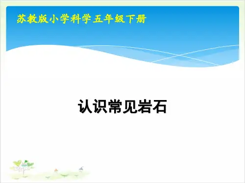 五年级下册科学-认识常见岩石-苏教版-PPT课堂课件