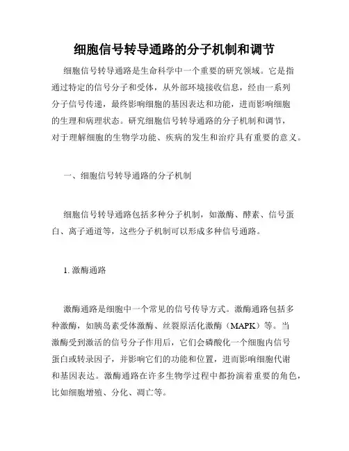 细胞信号转导通路的分子机制和调节