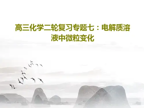 高三化学二轮复习专题七：电解质溶液中微粒变化PPT共19页