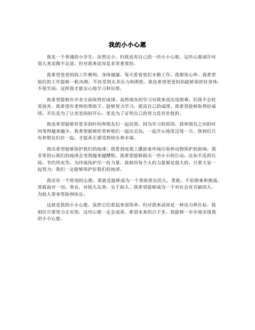 我的小小心愿