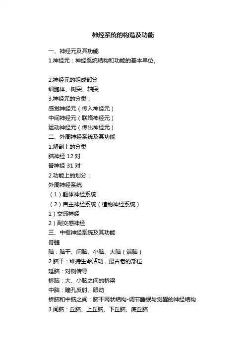 神经系统的构造及功能